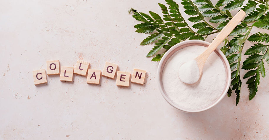 Why You Should Be Incorporating Collagen Into Your Daily Routine