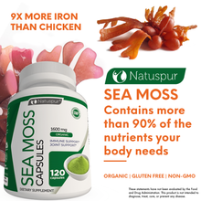 Load image into Gallery viewer, Irish Sea Moss 1600mg Organic Supplement with Bladderwrack and Burdock Root with Black Pepper